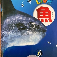 学研の図鑑 LIVE 魚 DVDつき