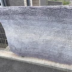 カーペットと1人用折りたたみソファー