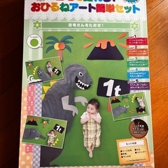 新品　自宅で撮れる！おひるねアート簡単セット