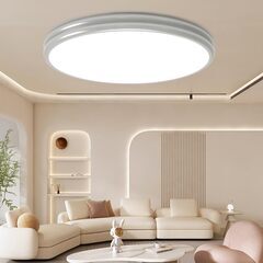 大特価 led シーリングライト 6畳 小型 薄形 天井照明 30cm