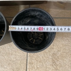 【6月末までに処分します！】高さのあるプランターの画像