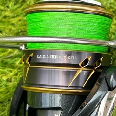 ダイワ　シーバス/サーフ　ロッド＆リールの画像