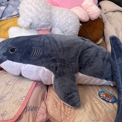 サメのぬいぐるみ
