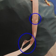 △ B Coleman コールマン Pop UP Picnic ShadeM ポップアップピクニックシェード 170T8450J アウトドア キャンプ用品 収納袋の持ち手に破れ有り 現状渡しの画像