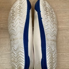 体育館シューズ　22.0cm かかとに記名ありの画像