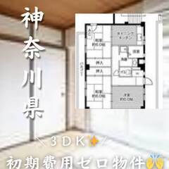 神奈川県相模原市中央区　初期費用ゼロ　家賃81000円　生…