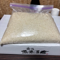 本日のみ晴れの国岡山産お米です