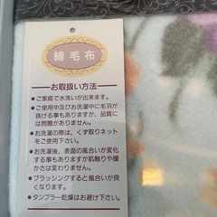 新品 毛布　オールシーズンタイプの画像