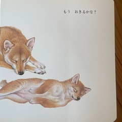 もう　おきるかな？の画像