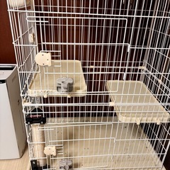 猫ゲージ