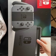 ニンテンドー　Nintendo Switch グレー