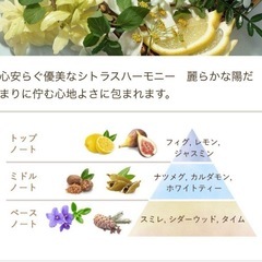SABON シャワーオイル & ボディスクラブ ミニキットの画像