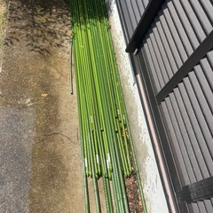 園芸支柱(緑の棒のやつ)の画像