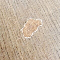 ダイニングテーブル 140×80cm テーブルのみ 4人掛け用 ブラウン 食卓テーブル ☆ 札幌市北区屯田 の画像