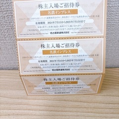 🎡名鉄株主優待券*リトルワールド、モンキーパーク、南知多ビーチラ...