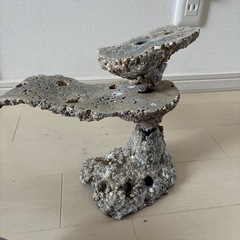 【先約あり】海水水槽　擬似ライブロックの画像