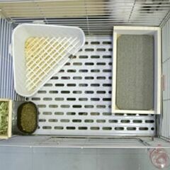 ストーンベッド　の画像