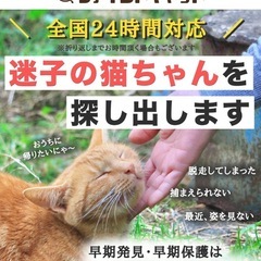 【茨城県エリア】未経験からはじめるペット探偵！猫を探すプロ…