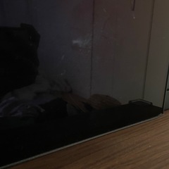 【ジャンク品】LG 有機ELテレビ 55インチの画像