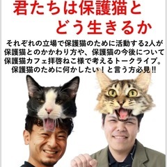 6/15保護猫について考えるトークライブ@阿佐ヶ谷の保護猫…