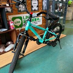 【愛品館八千代店】D-Bike 　Master +　ディーバイク　マスタープラス　18インチの画像