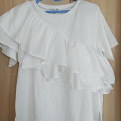 ﾁｬｵﾊﾟﾆﾆｯｸﾃｨﾋﾟｰ🩵フリルTシャツ🩵ﾜﾝｻｲｽﾞ(М〜...