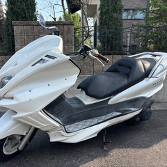 マジェスティ250cc