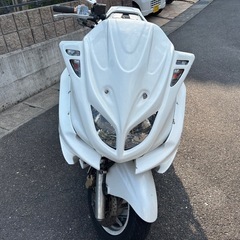 
マジェスティ250ccの画像