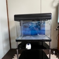 水槽セット60cm
