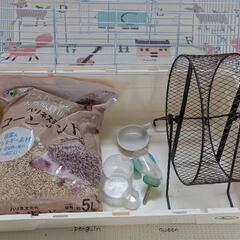 ハリネズミ　モルモット　ハムスター　小動物　飼育セット　SANKO