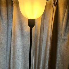 証明