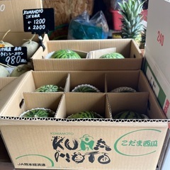 熊本県産🍉こだまスイカ入荷しました✨