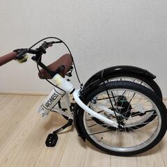 Amazon | ZiZZO Campo 20インチ 折りたたみ自転車 7段変速 調節