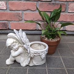 観葉植物と鉢カバー