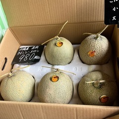 沖縄県産🍈赤肉クインシーメロン