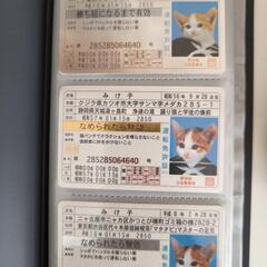 なめ猫免許証