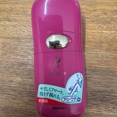 【伊那市引き取り限定】サラシェ