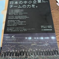値下げ保険会社　クリアーファイル　松嶋菜々子他１枚の画像