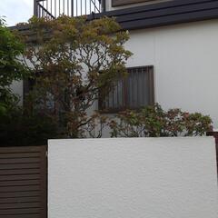 外壁塗装　その他一般塗装