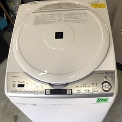 NO B202 🌈福岡市内配送設置無料✨🌈ES-TX8D-W 縦型洗濯乾燥機 ホワイト系 [洗濯8.0kg /乾燥4.5kg /ヒーター乾燥(排気タイプ) /上開き]  2019年
