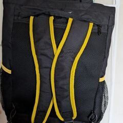 500円　未使用　阪神タイガースファンクラブ　ミズノトートバッグ兼リュックの画像