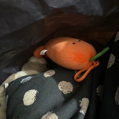 ぬいぐるみ などの画像