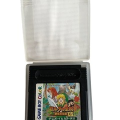 ゲームボーイカラーゼルダーの伝説　夢見る島DX