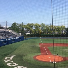 今日、横須賀スタジアム行ける方