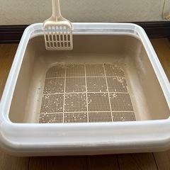 猫のトイレ