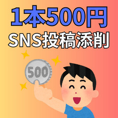 1本500円【SNS投稿の添削します】Instagram・…