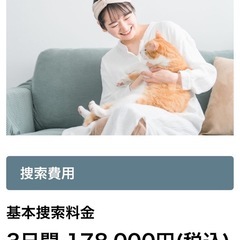 迷子のねこを探す猫探偵。 − 茨城県