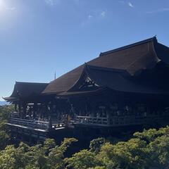 私は散歩、登山、ヨガが大好きです！🚶‍♀️⛰️✈️🧘‍♀️