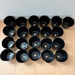 育苗ポット3号21個