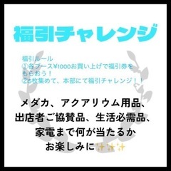 【イベント】あけぼの山メダカフェスティバルの画像